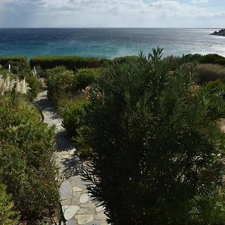 Sophia Paros - Beachfront At Lolantonis Drios