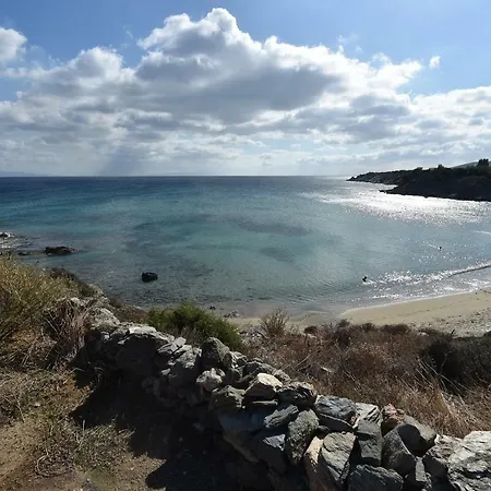 Sophia Paros - Beachfront At Lolantonis Willa Drios