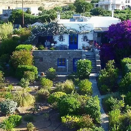 Sophia Paros - Beachfront At Lolantonis Willa Drios