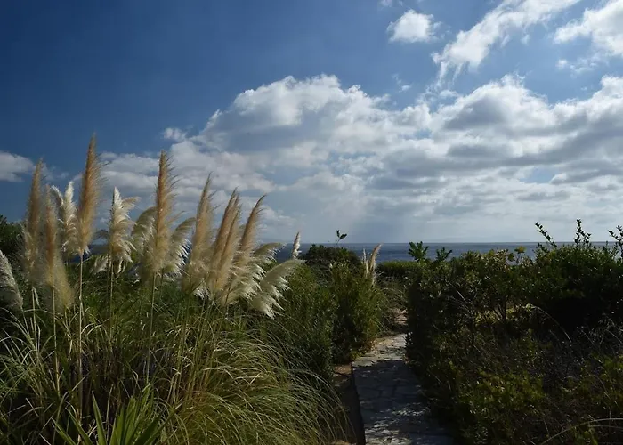 Sophia Paros - Beachfront At Lolantonis Вилла
